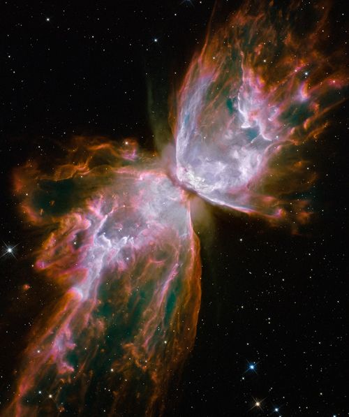 Butterflynebula