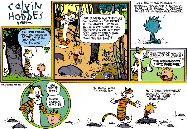 Calvin and hobbes