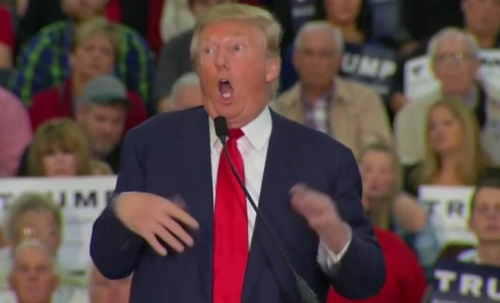Trump mocks disabled